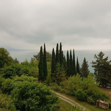 Гостевой Дом Мимоза Gagra Bagian luar foto