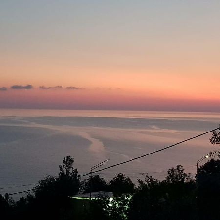 Гостевой Дом Мимоза Gagra Bagian luar foto