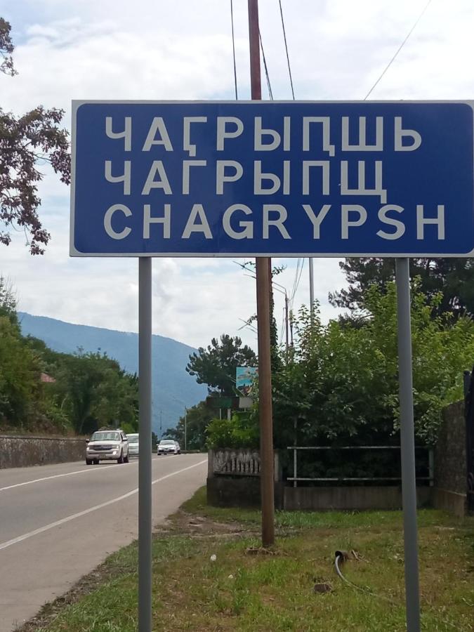 Гостевой Дом Мимоза Gagra Bagian luar foto