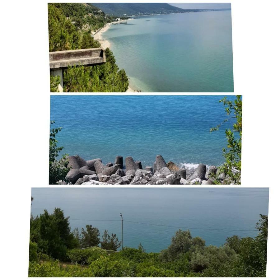 Гостевой Дом Мимоза Gagra Bagian luar foto