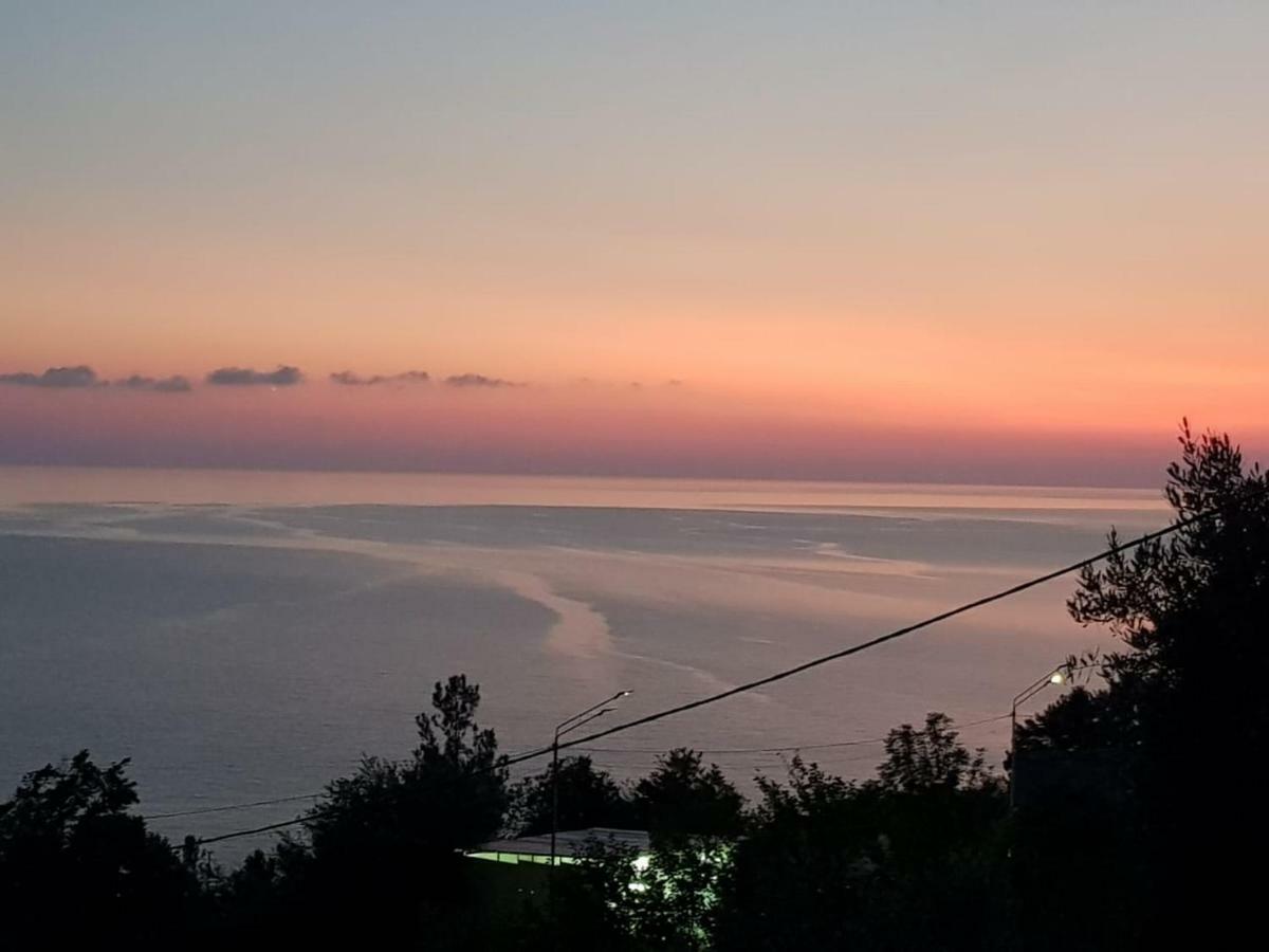 Гостевой Дом Мимоза Gagra Bagian luar foto