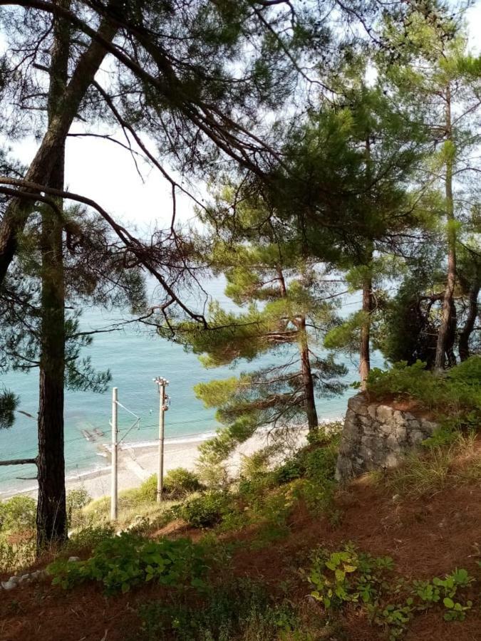 Гостевой Дом Мимоза Gagra Bagian luar foto