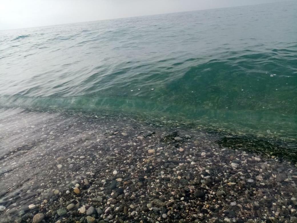 Гостевой Дом Мимоза Gagra Bagian luar foto