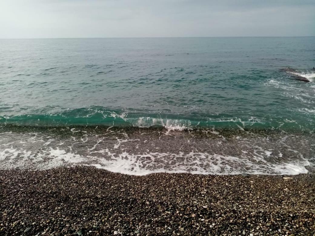 Гостевой Дом Мимоза Gagra Bagian luar foto